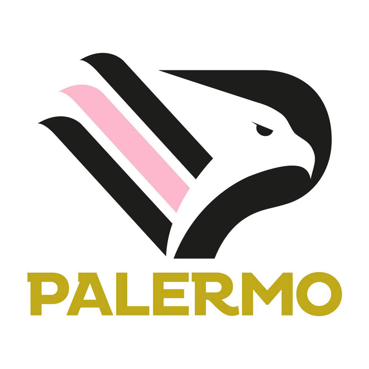 Concept Maglie Palermo 2019 2020